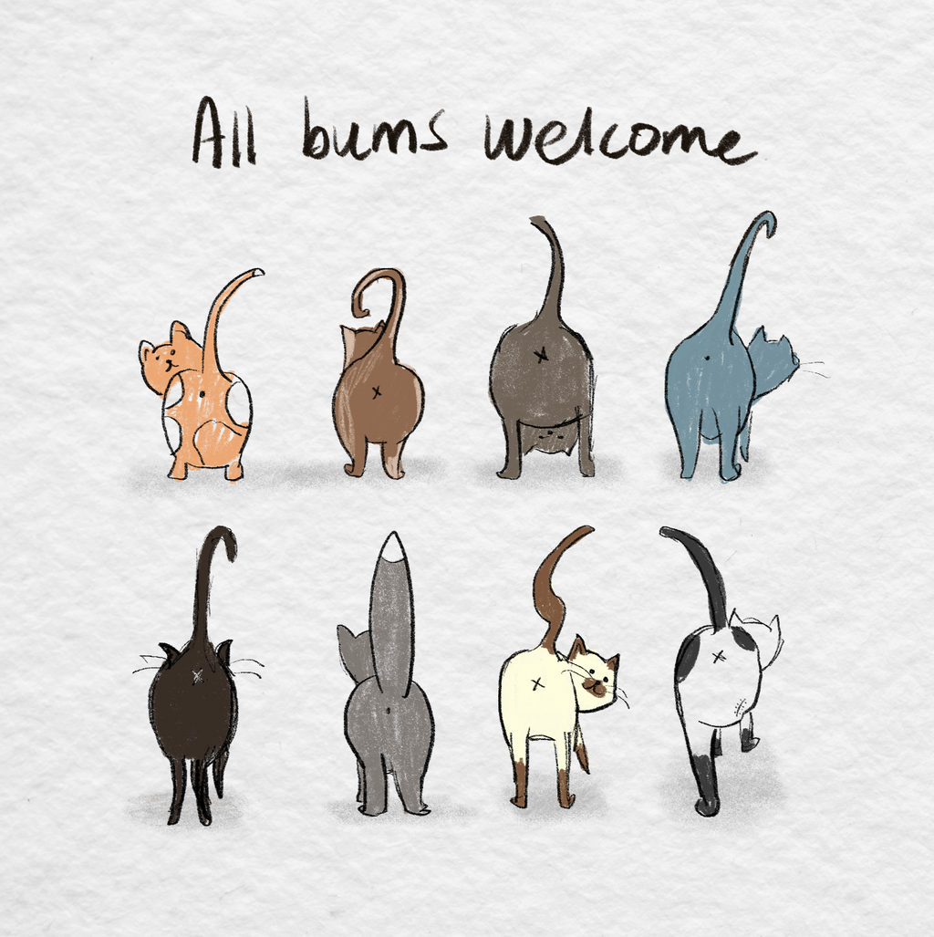 All Cat bums welcome! - SQUARE ART PRINT